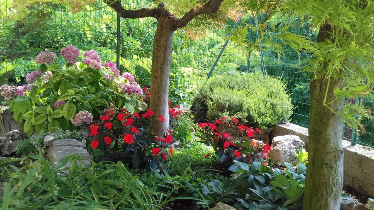 B&B Ca Di Me Premariacco Εξωτερικό φωτογραφία